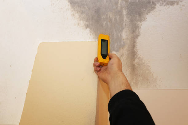 Best Mold Prevention Services  in Laurel Bay, SC