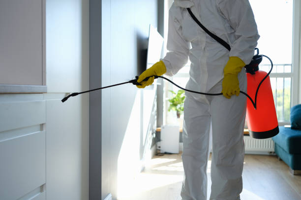 Best Asbestos and Lead Testing During Mold Inspection  in Laurel Bay, SC
