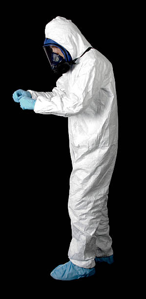 Reliable Laurel Bay, SC Mold Removal Solutions