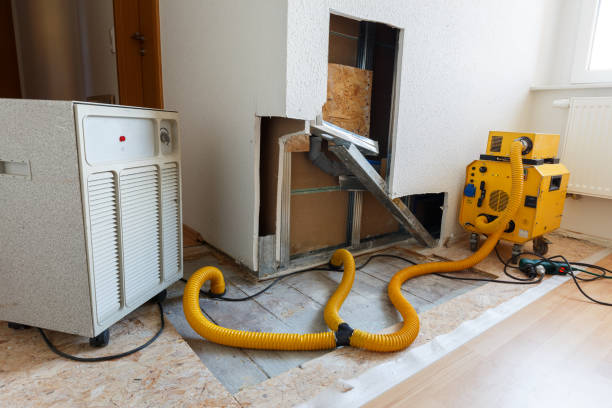 Best Crawl Space Mold Remediation  in Laurel Bay, SC